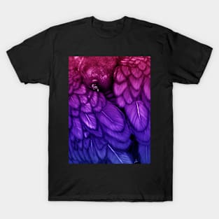 Blackbird - Bi Pride Edition T-Shirt